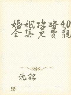 婚姻攻略40集全集免费观看