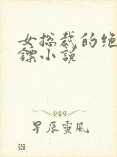 女总裁的绝世保镖小说