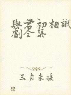 与君初相识电视剧全集