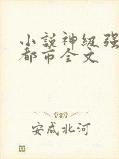 小说神级强者在都市全文