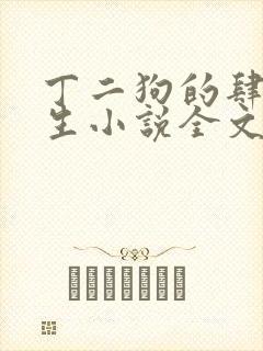 丁二狗的肆意人生小说全文阅读完整版封面