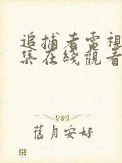 追捕者电视剧全集在线观看免费高清