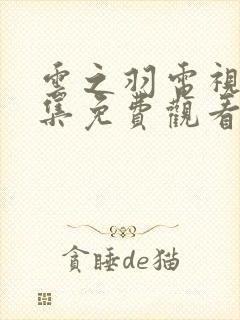 云之羽电视剧全集免费观看在线播放