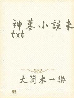 神墓小说未删版txt