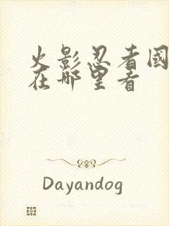 火影忍者国语版在哪里看