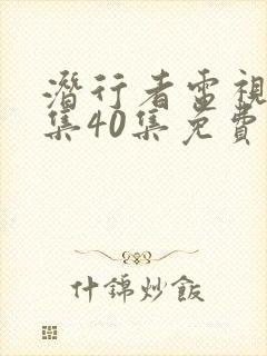 潜行者电视剧全集40集免费云播放