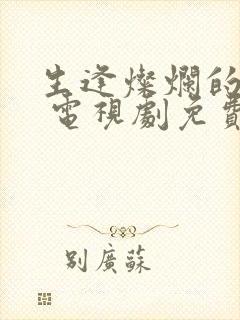 生逢灿烂的日子 电视剧免费观看