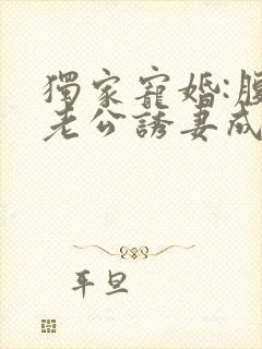 独家宠婚:腹黑老公诱妻成瘾封面