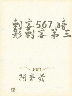 刺客567 暗影刺客第三季