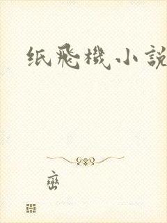 纸飞机小说
