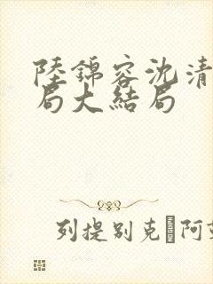 陆锦容沈清羽结局大结局