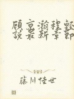 顾京瀚程轻轻小说最新章节免费阅读封面