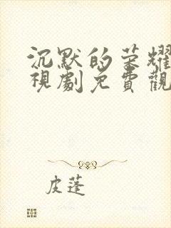 沉默的荣耀 电视剧免费观看全集