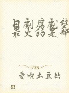 日剧腐剧双男主最火的是哪部剧