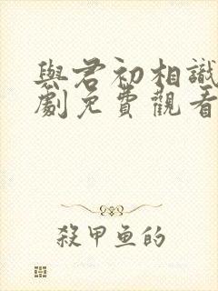 与君初相识电视剧免费观看完整版高