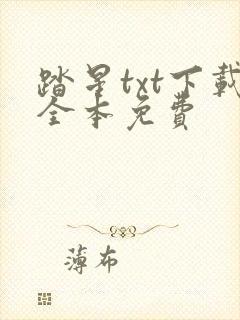 踏星txt下载全本免费