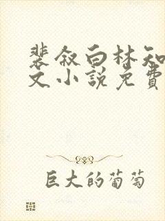 裴叙白林知夏全文小说免费