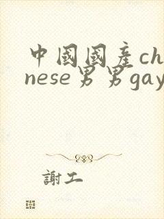中国国产chinese男男gay