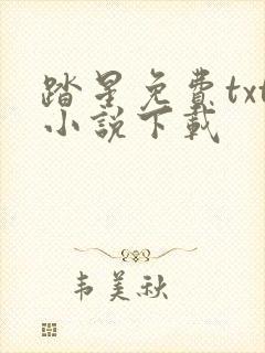 踏星免费txt小说下载封面
