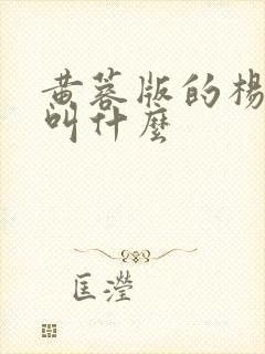 黄蓉版的杨贵妃叫什么封面