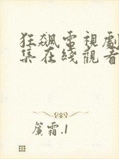 狂飙电视剧40集在线观看免费星辰影视