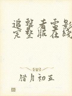 追击者电影免费完整版在线观看国语封面