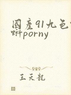 国产91九色蝌蚪porny