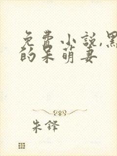 免费小说,黑帝的呆萌妻封面