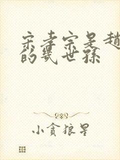 宋孝宗是赵匡胤的几世孙