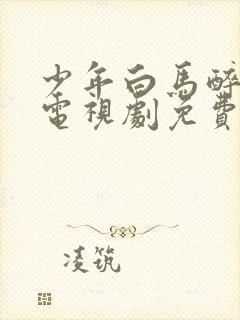 少年白马醉春风电视剧免费看影片