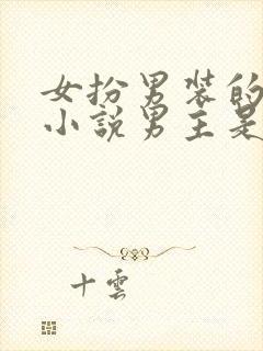 女扮男装的古言小说男主是皇帝