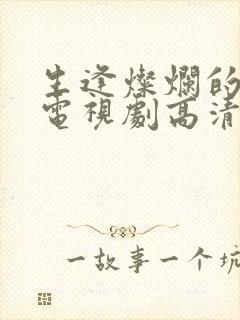 生逢灿烂的日子电视剧高清免费观看