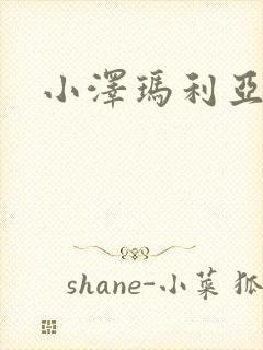 小泽玛利亚作品