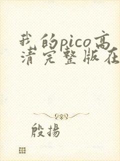 我的pico高清完整版在线观看