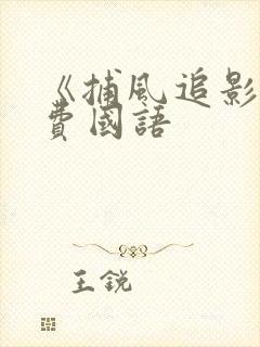 《捕风追影》免费国语