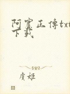 阿宾正传txt下载