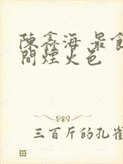 陈鑫海 最食人间烟火色