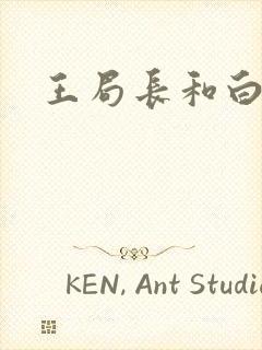 王局长和白老师