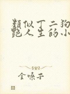 类似丁二狗的猎艳人生的小说