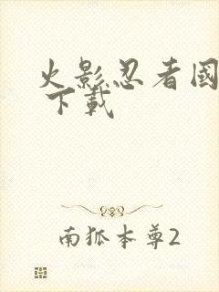 火影忍者国语版 下载封面