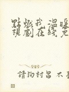 点燃我温暖你电视剧在线免费观看高清