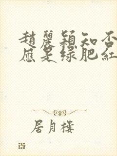 赵丽颖知否知否应是绿肥红瘦剧照