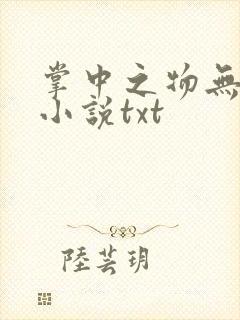 掌中之物无删减小说txt