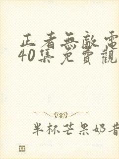 正者无敌电视剧40集免费观看封面