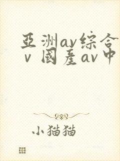 亚洲av综合aⅴ国产av中文一封面