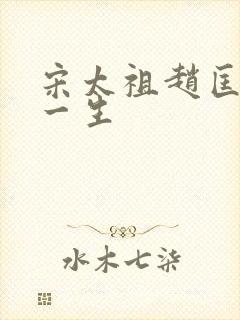 宋太祖赵匡胤的一生封面