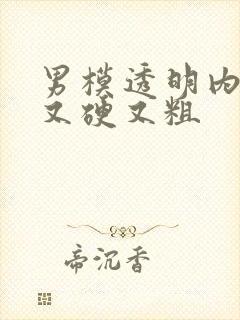 男模透明内裤里又硬又粗