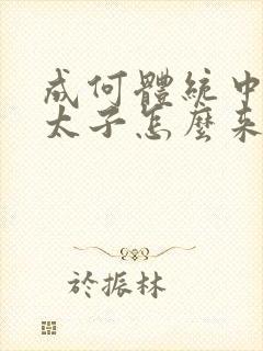 成何体统中的小太子怎么来的封面