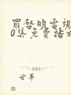 罗启明电视剧40集免费播放