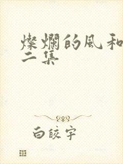 灿烂的风和海第二集